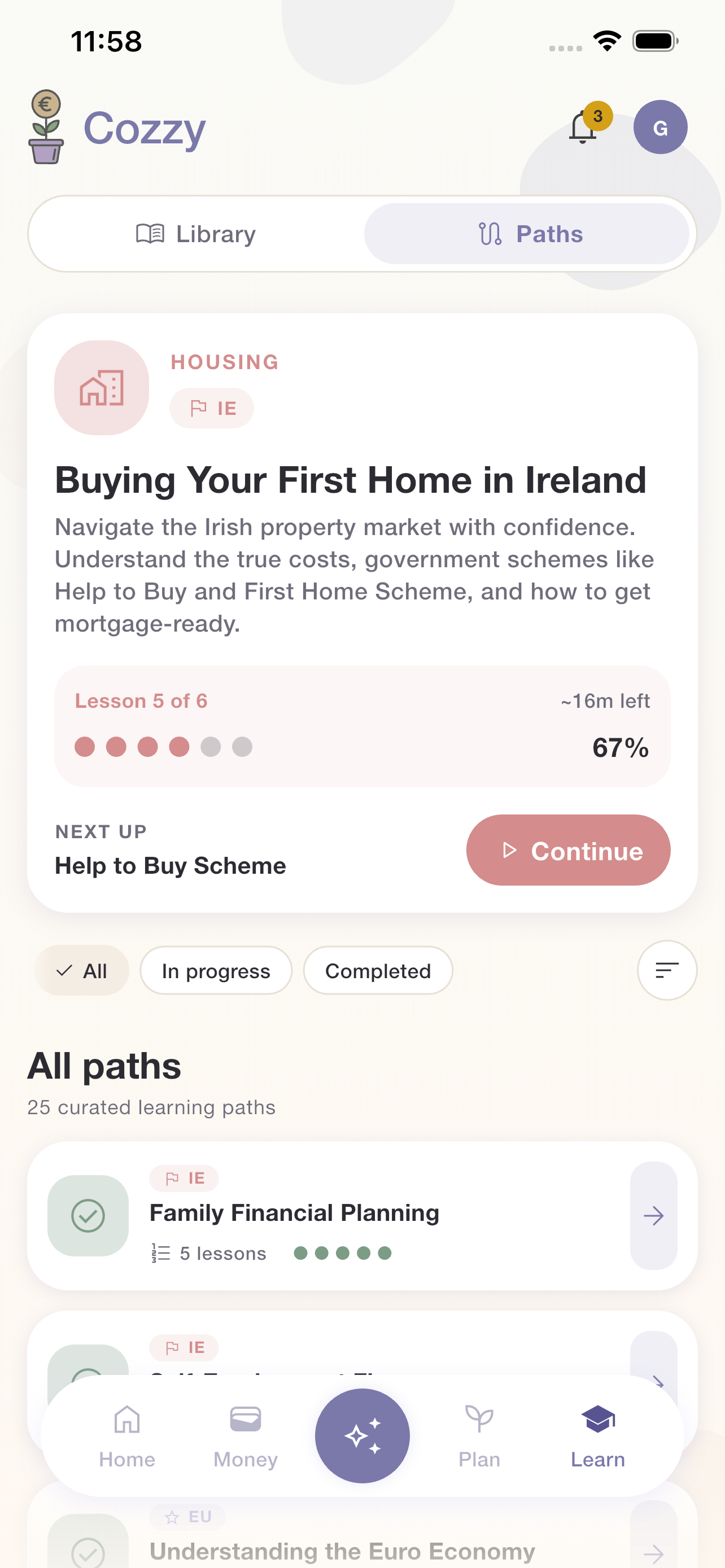 Learning Paths showing 'Money Foundations' in progress (Lesson 2 of 6, 17%) and 'Investing in Ireland' as an upcoming path